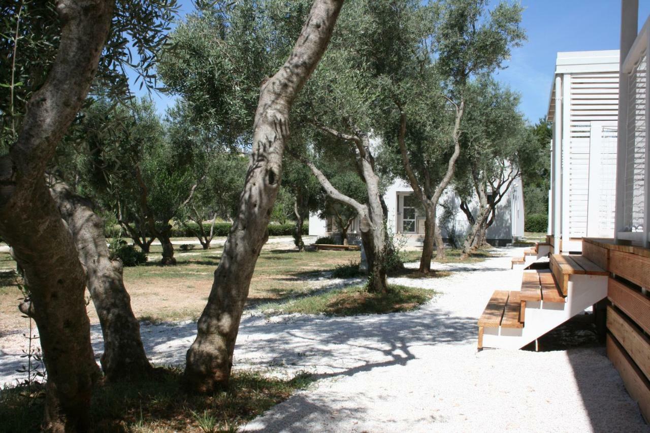 Mobile Homes Katinka, Starigrad Paklenica, Croatia Exteriör bild